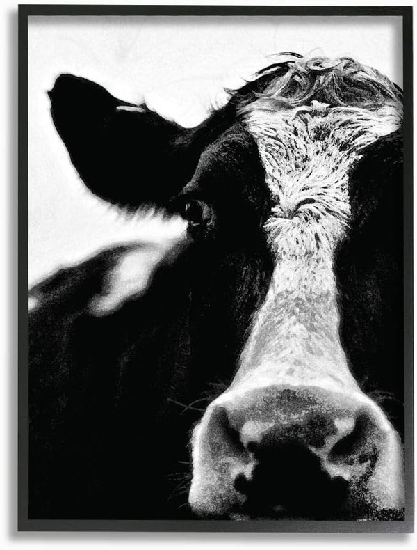 Stupell Industries Cow Black And White Close Up Framed Wall Art, Multi-Color