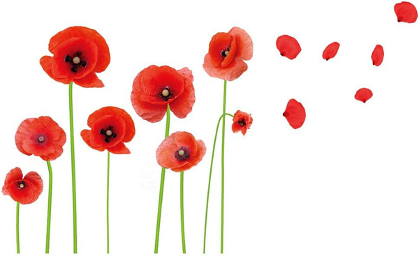 Red Poppies Beautiful Flowers Wall Decals Stickers Vines and Butterflies Vinyl Removable High Definition Peel and Stick