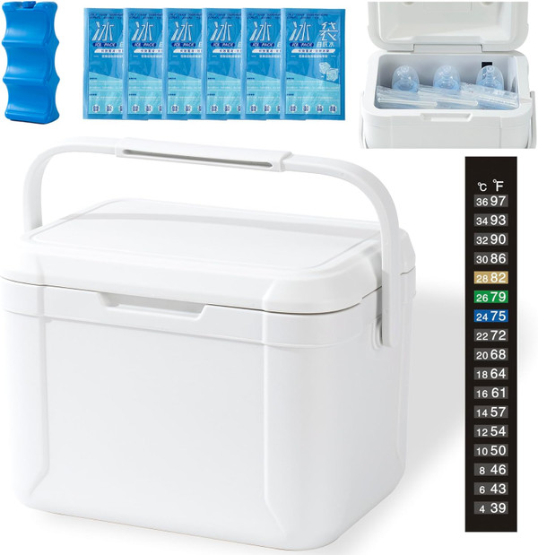 Breastmilk Cooler Bag with Ice Pack and Thermometers, Fits 6 Baby Bott