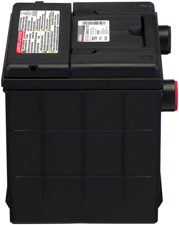 ACDelco Gold Professional 75S Battery 88866120 C630 R90 18 month
