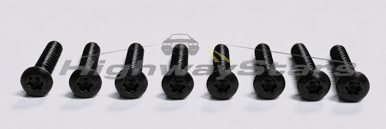 Buick Grand National OEM# 11504069 Headlamp Bezel Screws Stainless steel black set of 8