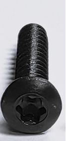 screw-headlight-bezel-screw-304-stainless-deep-black-metric-oval-head-t-15-torx.jpg