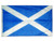 St. Andrews Cross (Scotland) Nylon Outdoor Flag
