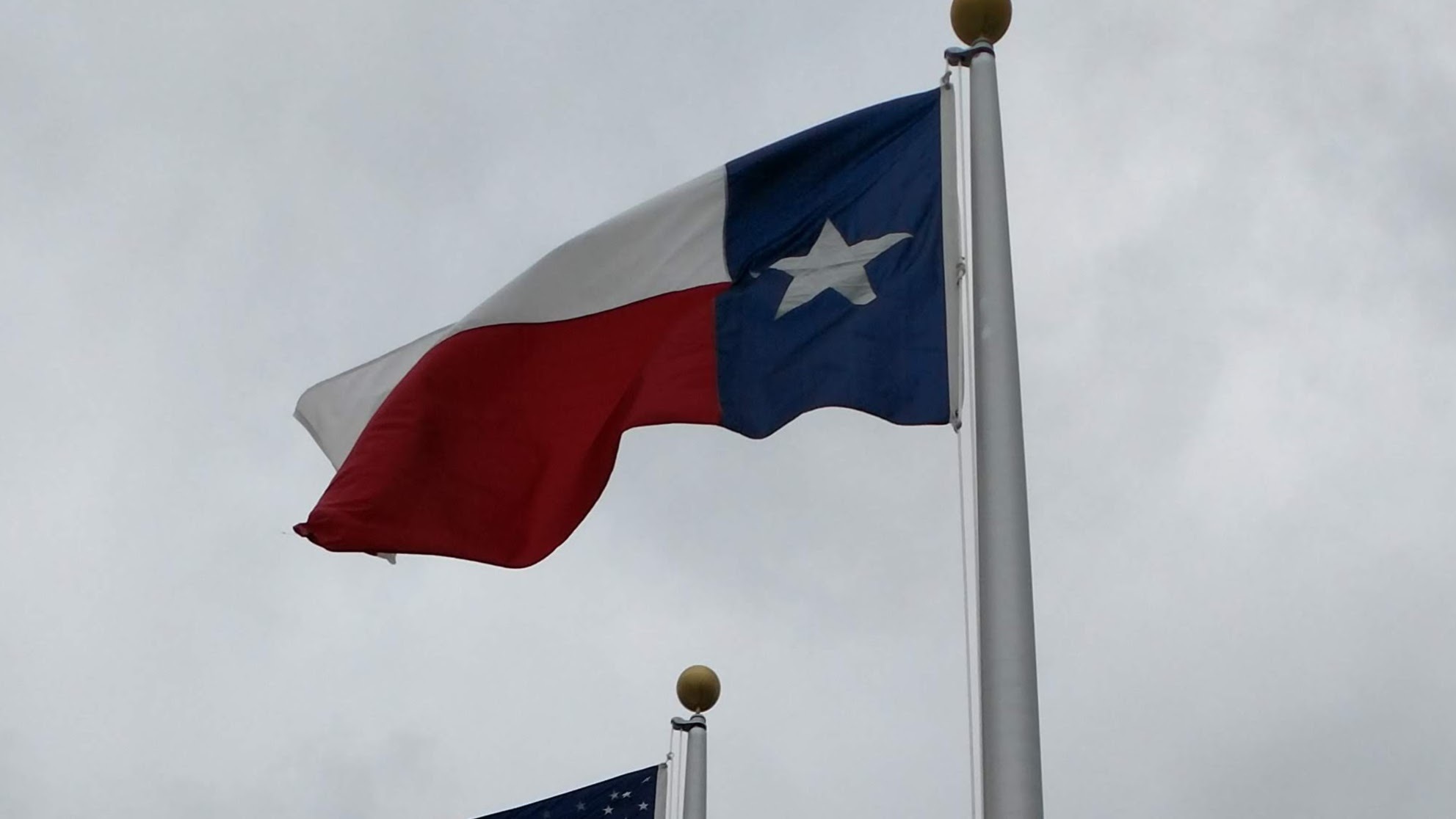 Texas Flags
