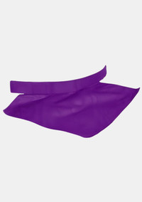 Enduranceabel Clerical Bib