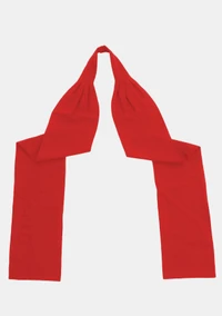 Serene Clergy Chimere for Cardinals