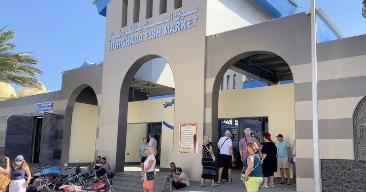 Tour to Hurghada Fish Market