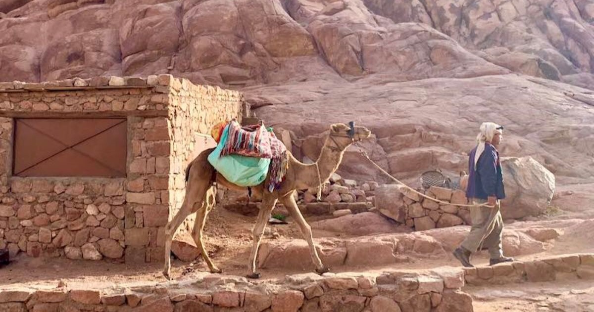 Hiking Mount Sinai