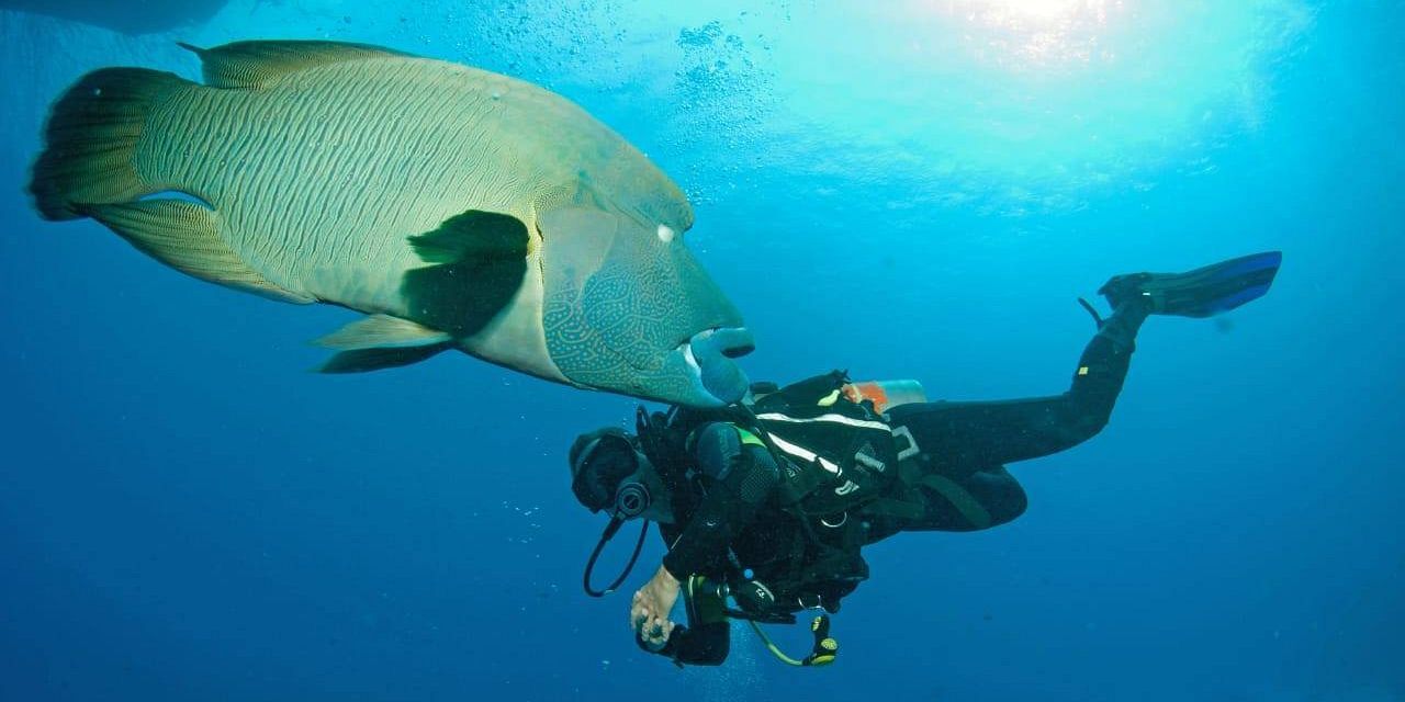 Diving Trip in Hurghada