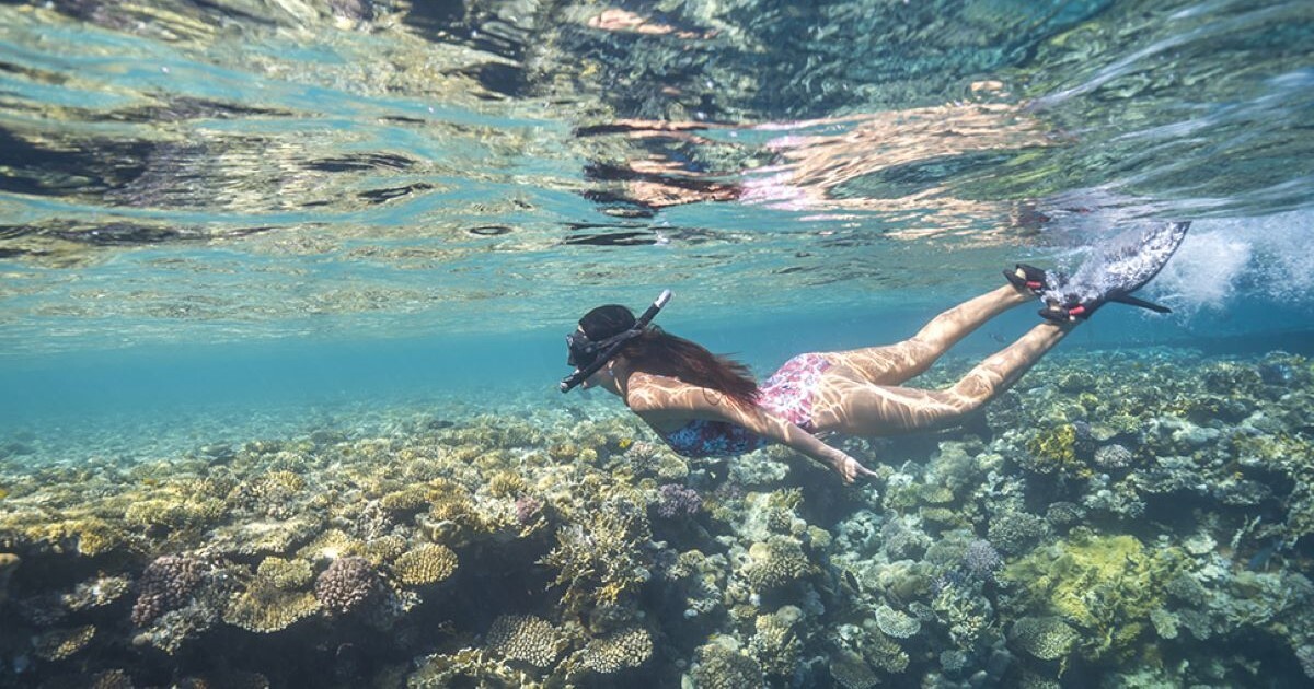 Enjoy Snorkelling in the Red Sea