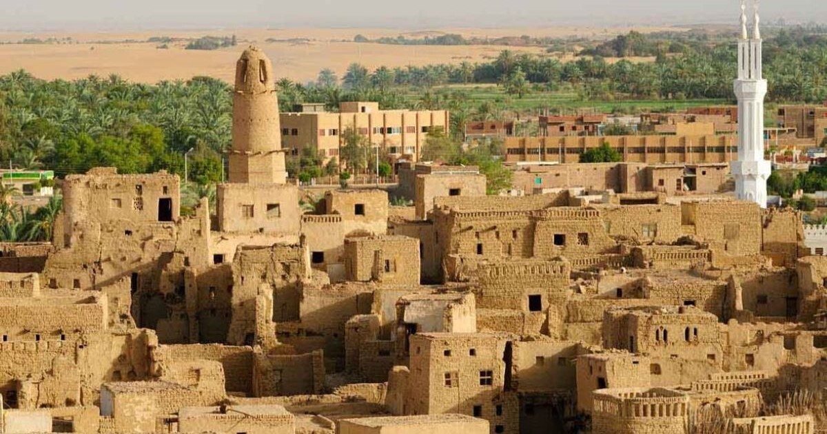 Tour to Bahariya Oasis