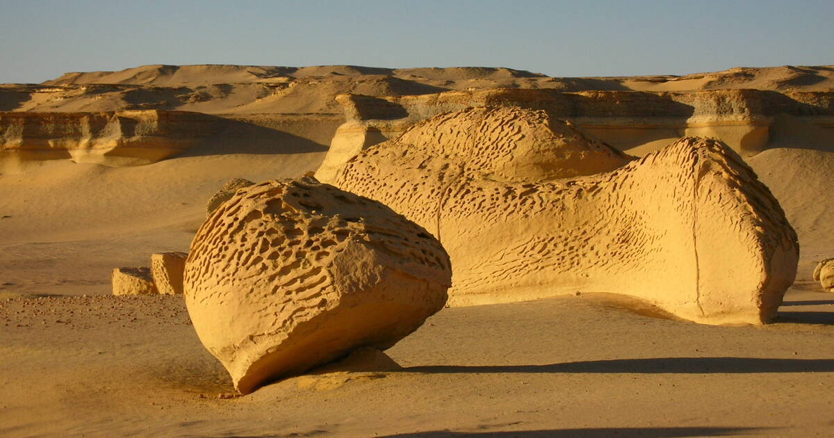 Tour to Wadi El-Hitan