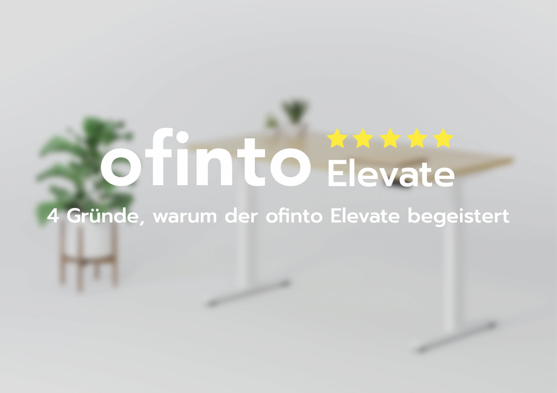 Der beste verstellbare Bürotisch: 4 Gründe, warum der ofinto Elevate unsere Kunden begeistert