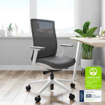 Der ofinto ergonomische Stuhl Ergo im Home Office