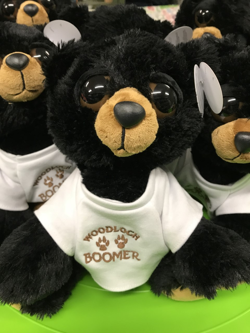 Boomer Bear