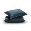 Down Alternative Stomach Sleeper Soft Pillow with MicronOne Technology, Set of 2 - Standard/Queen