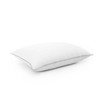 2-Pack of Down Alternative Pillows, Standard