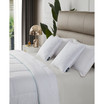 Feather Filled 2-Pack Pillow, 20" x 20"