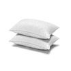 MicronOne Dust Mite, Bedbug, and Allergen-Free Down Alternative Pillow, Medium Density, Standard - Set of 2