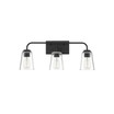 3-Light Bathroom Vanity Light