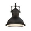Lighting Boswell One-Light LED Indoor Mini Pendant