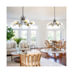 Modern American style chandelier-black gold iron-glass lampshade -6 bulbs