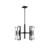 Winfield 10-Light Chandelier in Matte Black