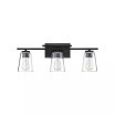 Calhoun 3-Light Bathroom Vanity Light with Clear Glass (24" W x 9" H)