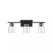 Calhoun 3-Light Bathroom Vanity Light with Clear Glass (24" W x 9" H)
