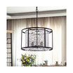Phodra 20" 4-Light Indoor Pendant Lamp with Light Kit