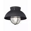 Harwich Coastal Farmhouse Barn Flush Mount Ceiling Light