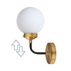 Caleb 1-Light Brass Wall Sconce