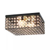Elegant Designs Elipse Crystal 2 Light Square Ceiling Flush Mount