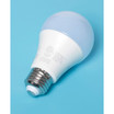 A19 LED Non-Dimmable Light Bulb Set, 16 Pieces