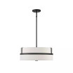 4-Light Pendant Light