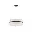 4-Light Pendant Light