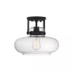 1-Light Ceiling Light