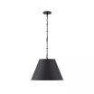 Alden Pendant Light