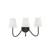 3-Light Wall Sconce