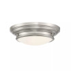 2-Light Ceiling Light