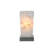 Uplight with USB Port