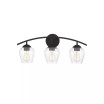 Trade Winds Hannah 3-Light Bathroom Vanity Light