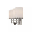 Colton 4-Light Bathroom Vanity Light