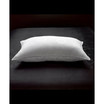 White Down Firm Pillow, with MicronOne Technology, Dust Mite, Bedbug, and Allergen-Free Shell, Standard
