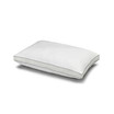 Memory Fiber Pillow 100% Cotton Luxurious Mesh Gusseted Shell All Sleeper Pillow - Standard
