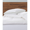 Memory Fiber Pillow 100% Cotton Luxurious Mesh Gusseted Shell All Sleeper Pillow - Standard