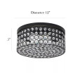 Elegant Designs Elipse Crystal 2 Light Round Ceiling Flush Mount
