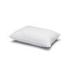 Signature Plush Memory Fiber Allergy Resistant Pillow, Standard