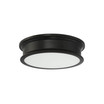 Watkins Flush Mounted Ceiling Light in Classic Bronze