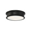 Watkins Flush Mounted Ceiling Light in Classic Bronze